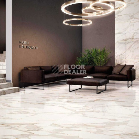 Purity Of Marble 60*60 Capraia 60X60 RT фото 4 | FLOORDEALER