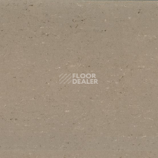 Линолеум Gerflor Colorette 0043 Light Mud фото 1 | FLOORDEALER