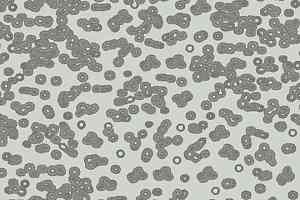 Ковролин Forbo Flotex Sottsass Bacteria 990201 фото  | FLOORDEALER
