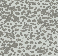 Ковролин Forbo Flotex Sottsass Bacteria 990201 фото 1 | FLOORDEALER