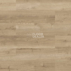 Пробковое покрытие Wood Go LJUZ001  Oak Nature фото 1 | FLOORDEALER