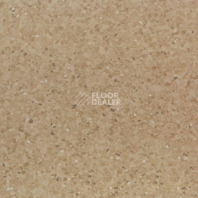 Линолеум Tarkett iQ Aria CARII-659 фото 1 | FLOORDEALER