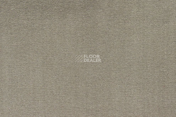 Ковролин ITC Roxane 249 фото 1 | FLOORDEALER