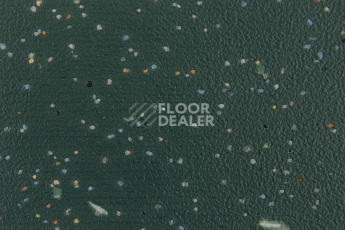 Forbo SureStep Original 172072 dark kelp фото 2 | FLOORDEALER