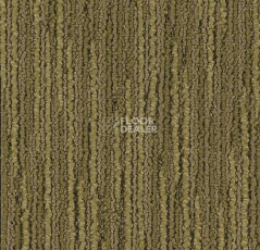 Ковровая плитка Forbo Tessera Seagrass 3225 Meadow фото 1 | FLOORDEALER
