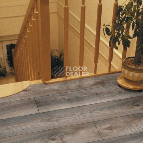 Kronotex Mammut d4792 Дуб Серый Макро фото 9 | FLOORDEALER