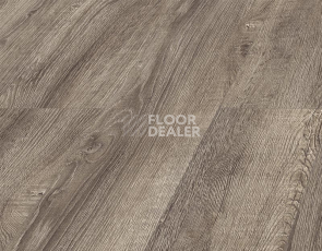 Kronopol Platinium Akaba AQUA BLOCK 8mm Kronopol Platinium Akaba Aqua Block 24h Дуб Наоми D3749 фото 2 | FLOORDEALER