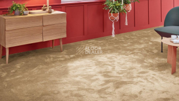 Vorwerk Superior 1067 Mira Vorwerk 8k08 фото 2 | FLOORDEALER