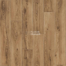 Линолеум Tarkett Activa Aurora_1 фото 1 | FLOORDEALER