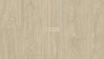 Линолеум Tarkett Club Maximus 1 фото 1 | FLOORDEALER