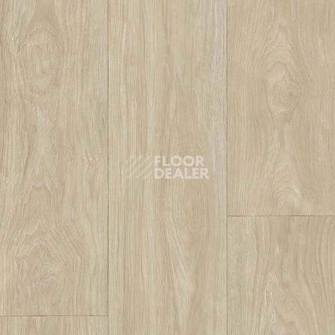 Линолеум Tarkett Club Maximus 1 фото 1 | FLOORDEALER