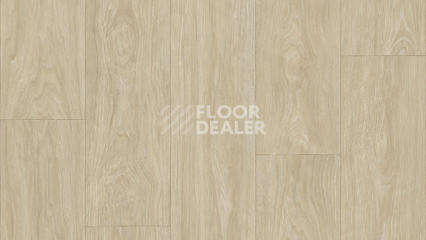 Линолеум Tarkett Club Maximus 1 фото 1 | FLOORDEALER