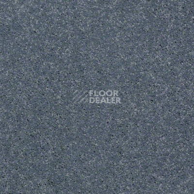 Ковролин Shaw Design Texture Platinum 421 фото 1 | FLOORDEALER