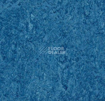 Линолеум Forbo Marmoleum Decibel 303035 blue фото 1 | FLOORDEALER