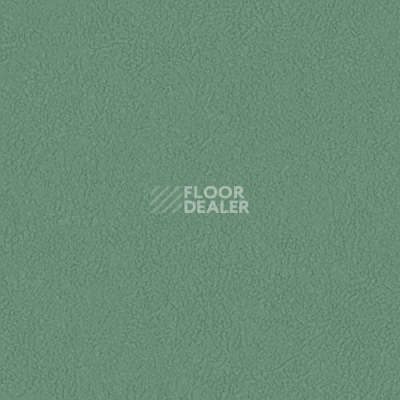 Линолеум Graboflex Gymfit 60 7483_00_279 фото 1 | FLOORDEALER