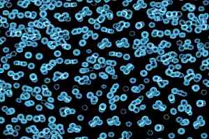 Ковролин Forbo Flotex Sottsass Bacteria 990105 фото  | FLOORDEALER