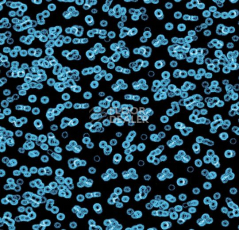 Ковролин Forbo Flotex Sottsass Bacteria 990105 фото 1 | FLOORDEALER