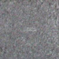 Ковролин Hidden Treasure Beaulie of America Fog 12 фото 1 | FLOORDEALER