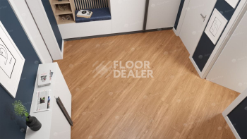 Alpine Floor Sequoia (SPC) Секвойя Royal ЕСО 6-4 SPC фото 3 | FLOORDEALER