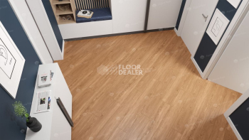 Alpine Floor Sequoia (SPC) Секвойя Royal ЕСО 6-4 SPC фото 3 | FLOORDEALER