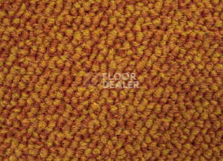 AW Maxima 85 фото 4 | FLOORDEALER