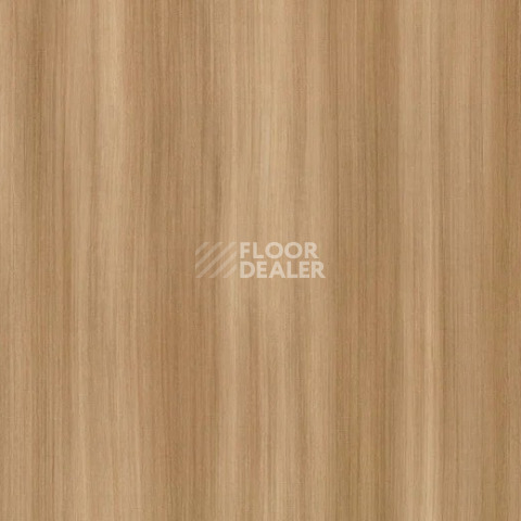 Линолеум Forbo SureStep Wood 18642 classic twine фото 1 | FLOORDEALER
