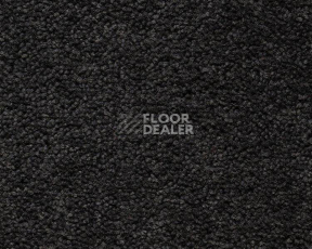 Ковролин Best Wool Pure Brunel c 70002 фото 1 | FLOORDEALER