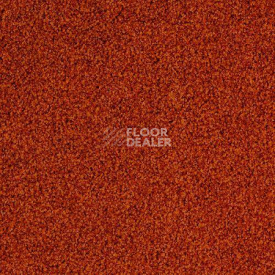 Ковровая плитка Desso Torso 5103 фото 1 | FLOORDEALER