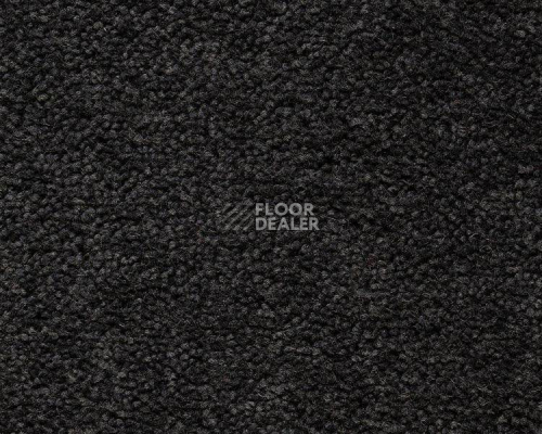 Ковролин Best Wool Pure Brunel c 70002 фото 1 | FLOORDEALER