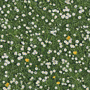 Ковролин Halbmond Pure Elements 13832  | FLOORDEALER