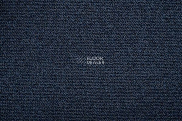 Ковролин Standard Carpets Romeo Park 559 фото 1 | FLOORDEALER