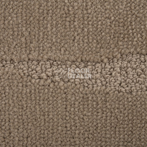 Standard Carpets Arabian Desert 1395 фото 4 | FLOORDEALER