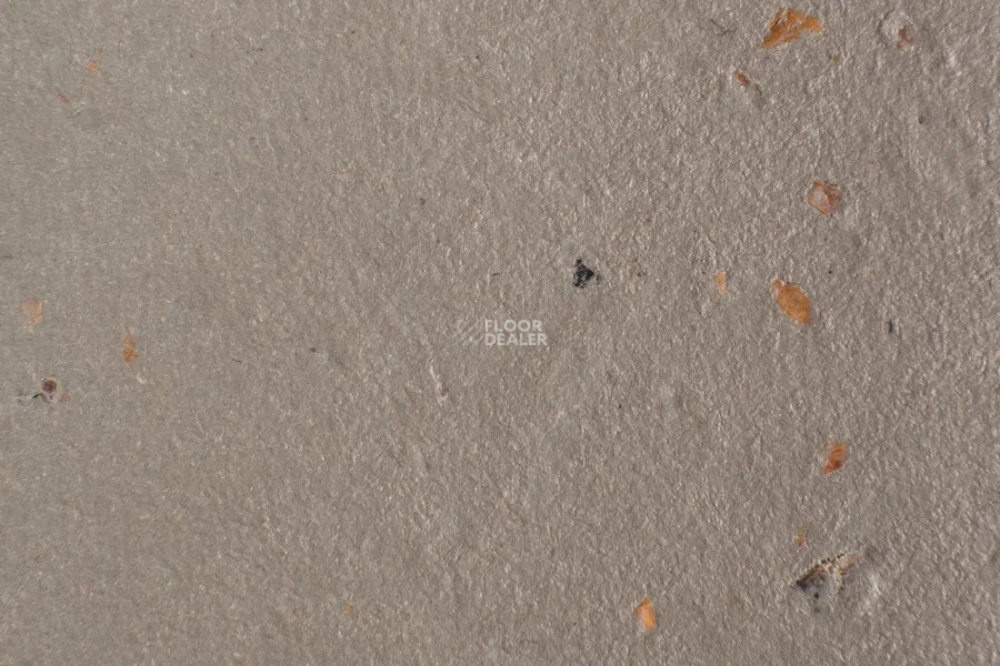 Forbo Marmoleum Solid Cocoa 3580-358035 milk chocolate фото 2 | FLOORDEALER