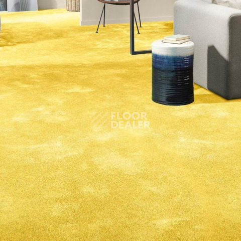 Vorwerk Superior 1064/Lyrica Vorwerk 2f35 фото 2 | FLOORDEALER