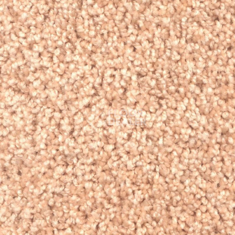 Ковролин Зартекс Фортуна Фортуна 004 Кремовый фото 1 | FLOORDEALER