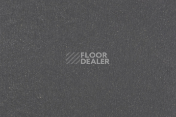Линолеум Forbo Marmoleum Solid Walton 3368-336835 grey iron фото 1 | FLOORDEALER