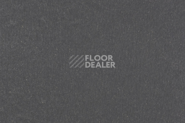 Линолеум Forbo Marmoleum Solid Walton 3368-336835 grey iron фото 1 | FLOORDEALER