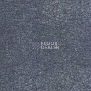 Ковролин Shaw Bradberry 30 666 фото 1 | FLOORDEALER