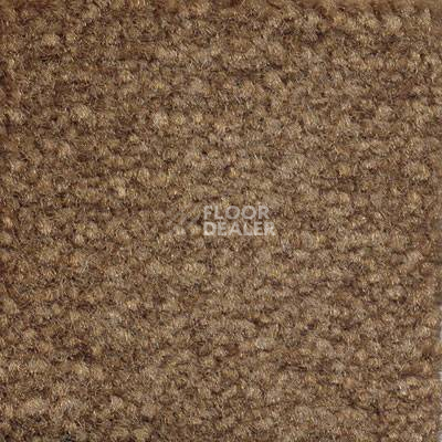 Ковролин Emphatic Beaulieu of America 56710 фото 1 | FLOORDEALER