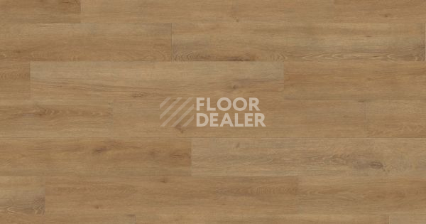 Ламинат Haro Tritty 100 Gran Via 4V ДУБ ВЕНЕТО НАТУР 541520 фото 1 | FLOORDEALER