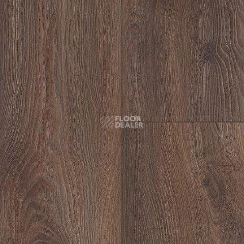 Wineo 700 Wood XXL V4 8мм LA223XXLV4 Дуб финский тёмно-коричневый фото 2 | FLOORDEALER