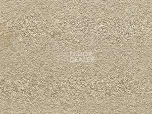 Ковролин ITC Anemone ITC Anemone 035 фото 1 | FLOORDEALER