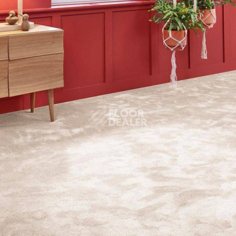 Vorwerk Superior 1067 Mira Vorwerk 8k10 фото 2 | FLOORDEALER