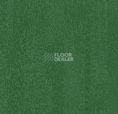Ковровая плитка Forbo Flotex Colour Penang 50*50 t 382010 Penang Evergreen фото 1 | FLOORDEALER