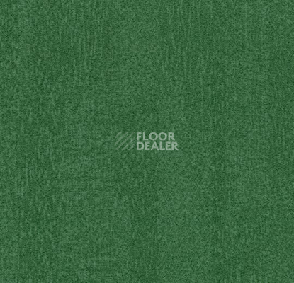 Ковровая плитка Forbo Flotex Colour Penang 50*50 t 382010 Penang Evergreen фото 1 | FLOORDEALER