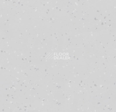 Линолеум Forbo Sphera Star T 6732 white grey фото 1 | FLOORDEALER