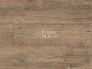 Kronotex Exquisit Plus d40422 Дуб Бодега Коричневый фото 3 | FLOORDEALER
