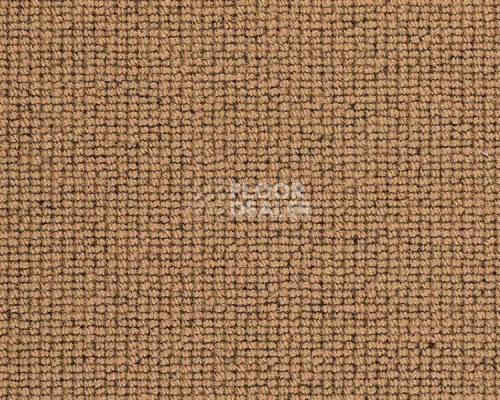Ковролин Best Wool Hospitality 1 h 1450 - d 40000 фото 1 | FLOORDEALER