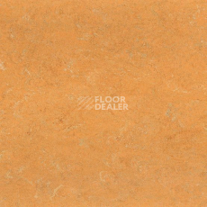 Линолеум Gerflor Marmorette DLW  2mm 0173 Melon Orange фото 1 | FLOORDEALER