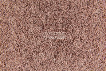 Forbo Flotex Colour s 482016 Penang Coral фото 2 | FLOORDEALER